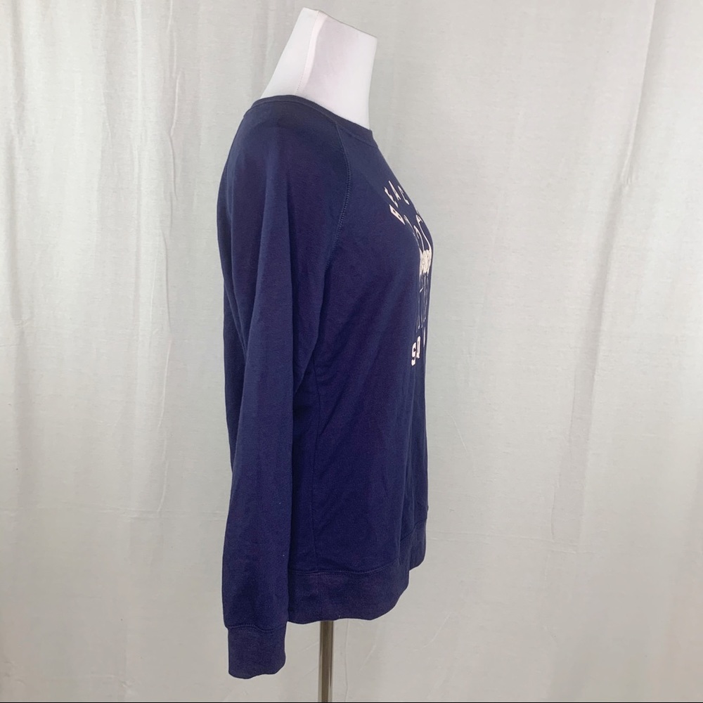 Old Navy flamingo Beach Squad blue sweatshirt NWT - Picture 8 of 13